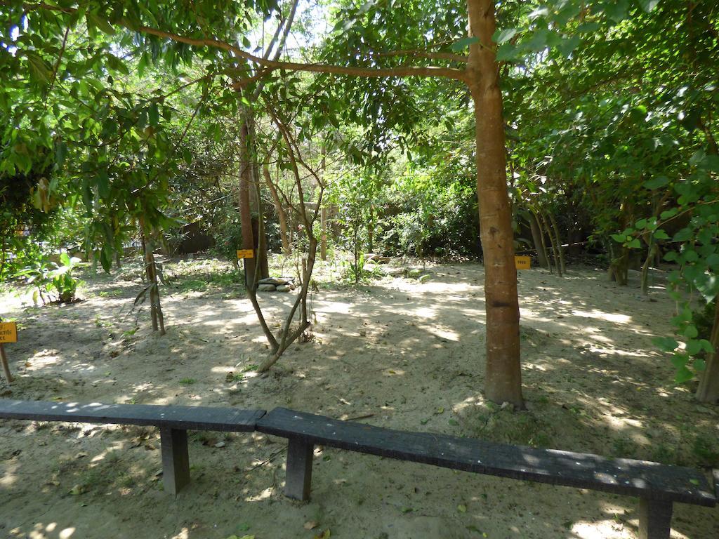 Chitwan Gaida Lodge Саураха Екстериор снимка