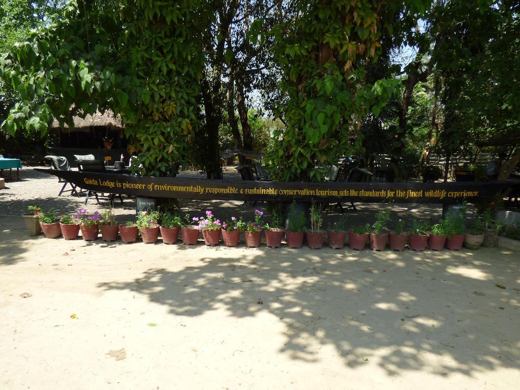 Chitwan Gaida Lodge Саураха Екстериор снимка