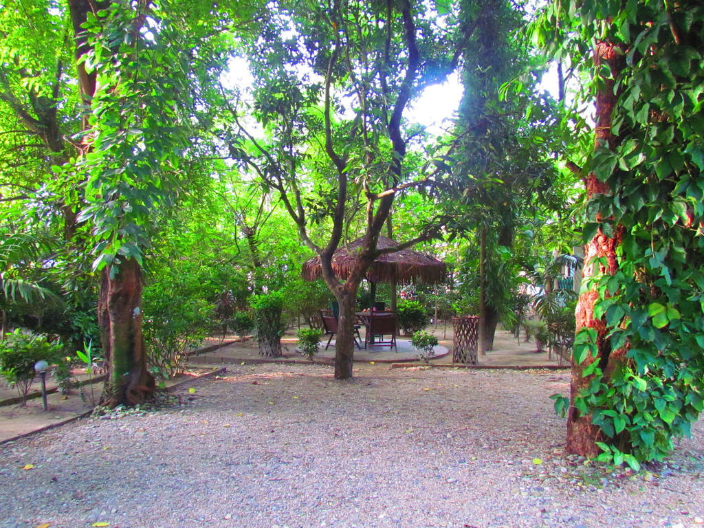 Chitwan Gaida Lodge Саураха Екстериор снимка