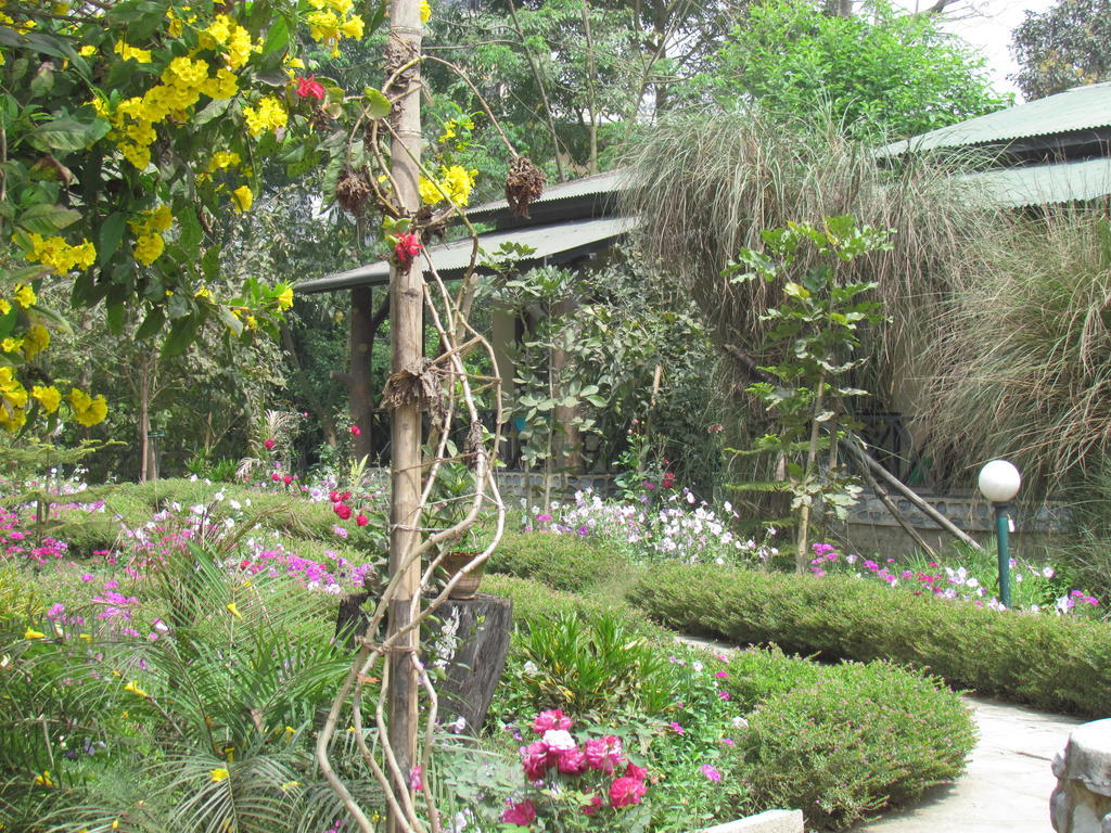 Chitwan Gaida Lodge Саураха Екстериор снимка
