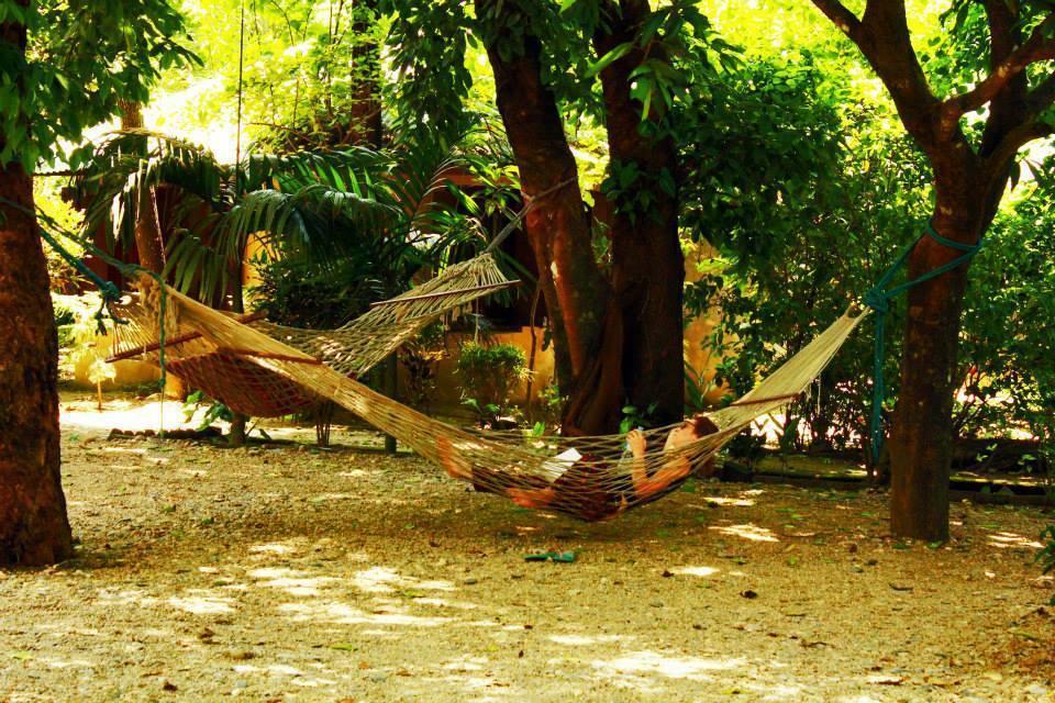 Chitwan Gaida Lodge Саураха Екстериор снимка