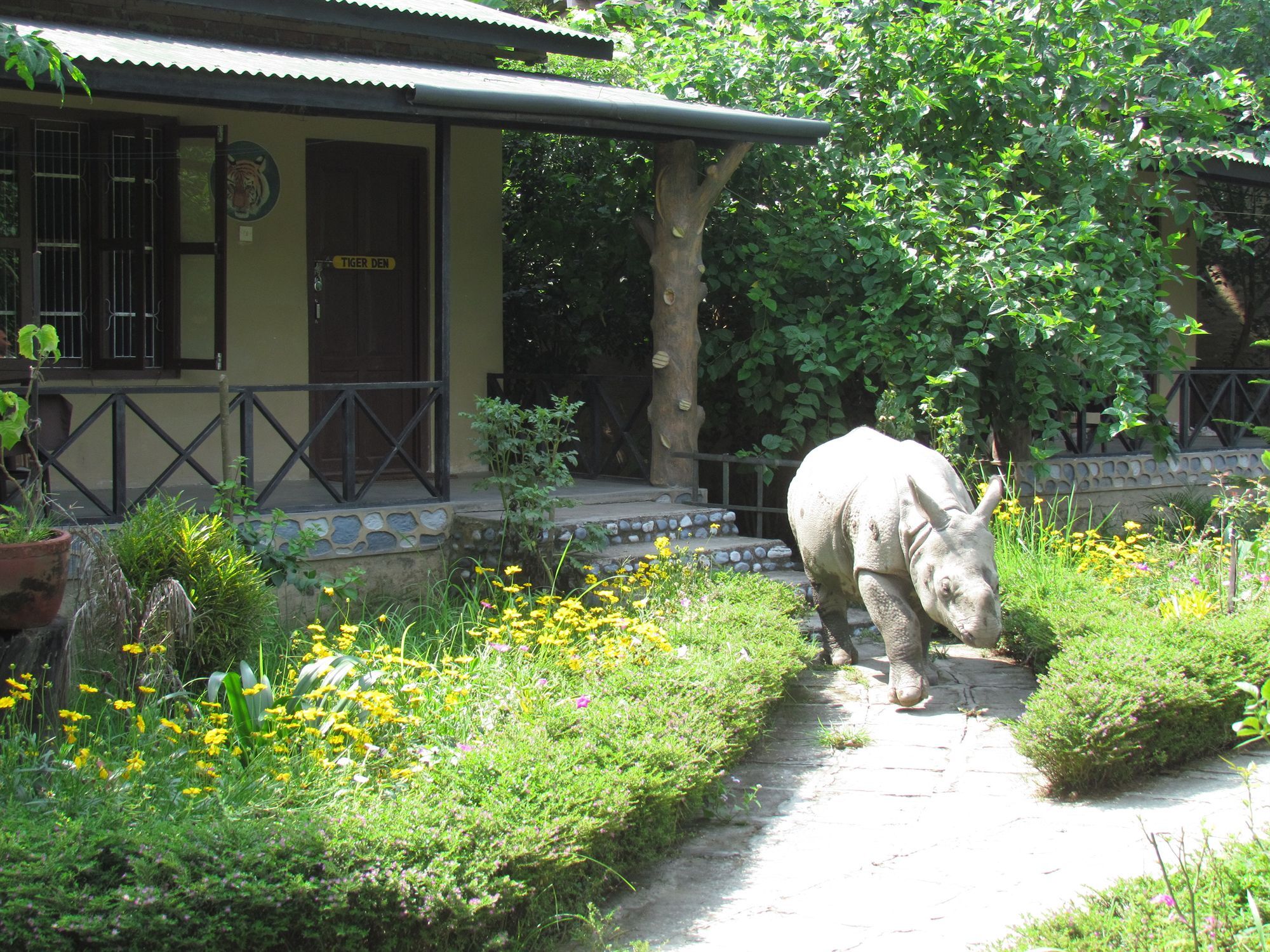 Chitwan Gaida Lodge Саураха Екстериор снимка